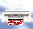 Olivetti Simple_WAY